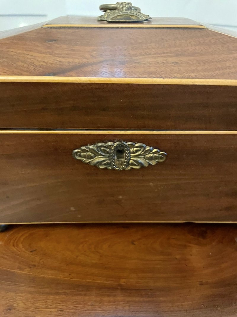 Antique Regency Quality Mahogany Inlaid Tea Caddy - Image 8